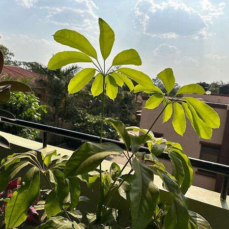 Elena & Kimberly Apartment Gulu Екстериор снимка