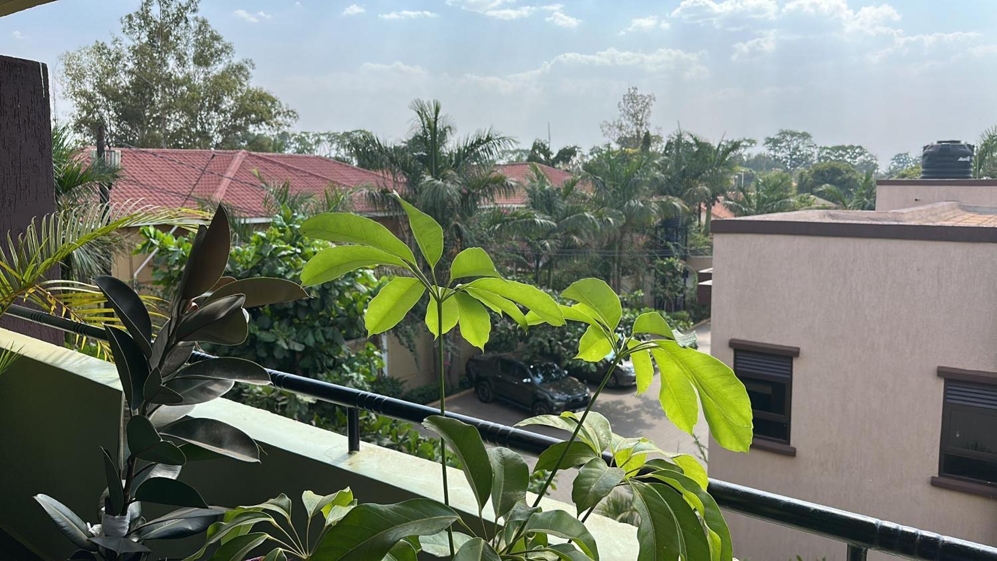 Elena & Kimberly Apartment Gulu Екстериор снимка